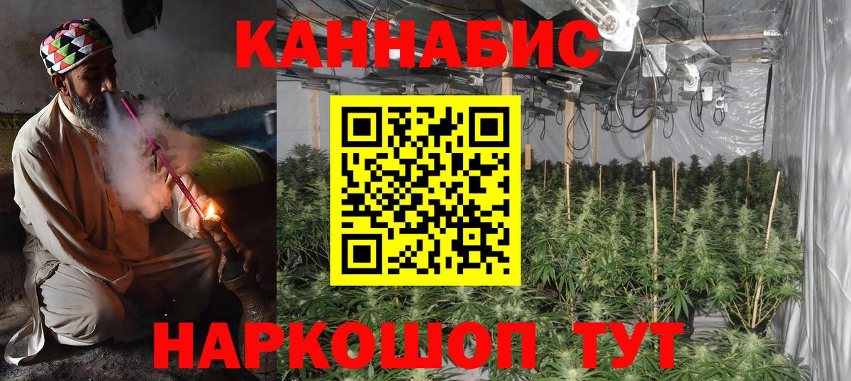 Шишки марихуана марихуана  Вход с VPN  Бошки Шишки SATIVA & INDICA  Анжеро-Судженск 